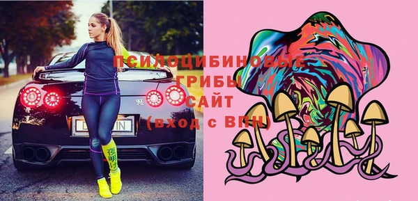 apvp Богданович